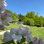 Naturhof Roithbauer דירה Buchenort