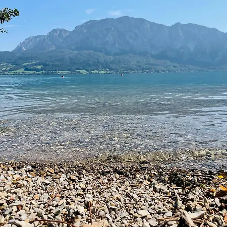 Naturhof Roithbauer In Unterach Am Attersee Apartment Buchenort