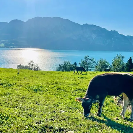 Apartment Naturhof Roithbauer In Unterach Am Attersee *