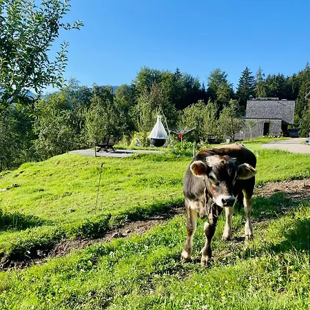 Apartamento Naturhof Roithbauer