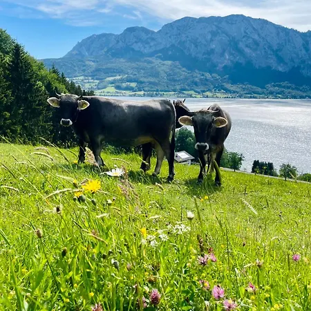 Naturhof Roithbauer In Unterach Am Attersee * Buchenort