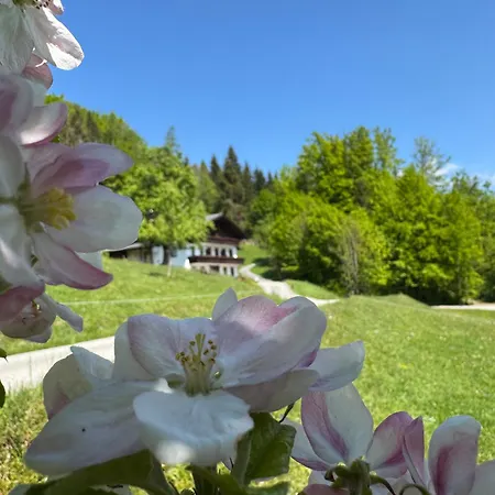 Naturhof Roithbauer 公寓 Buchenort