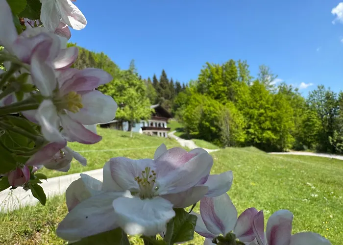 Naturhof Roithbauer Apartmán Buchenort