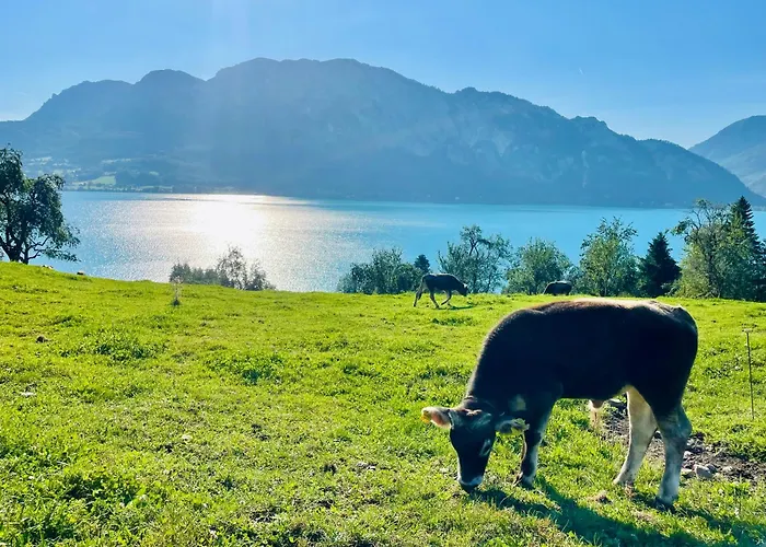 Διαμέρισμα Naturhof Roithbauer *