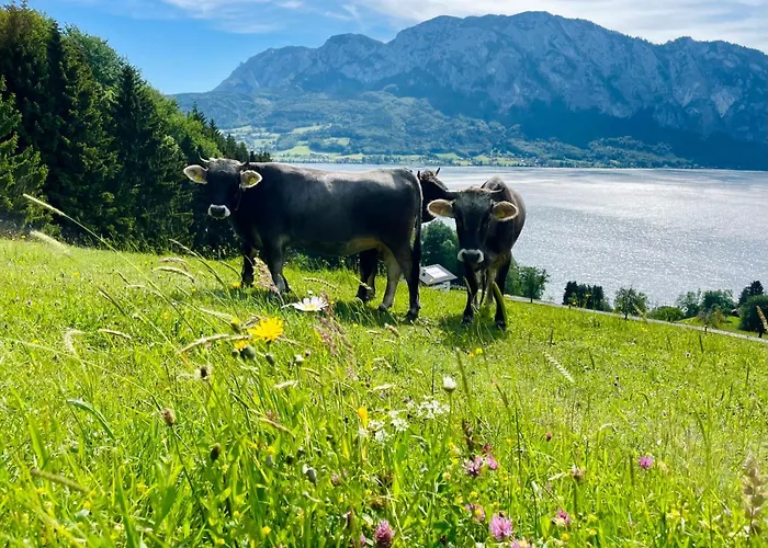 Naturhof Roithbauer * Buchenort